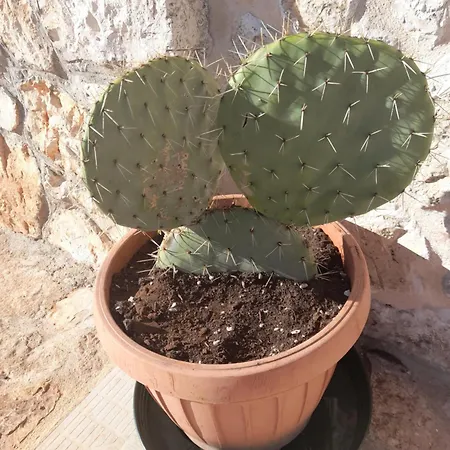 منزل للإقامة Beltrullo Pietrevive مارتينا فرانكا