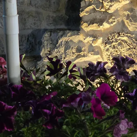 Beltrullo Pietrevive Martina Franca