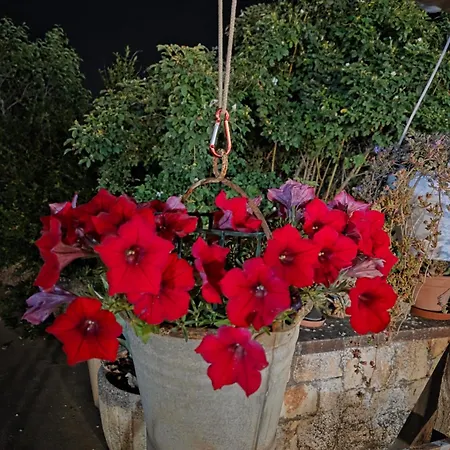 Beltrullo Pietrevive منزل للإقامة *