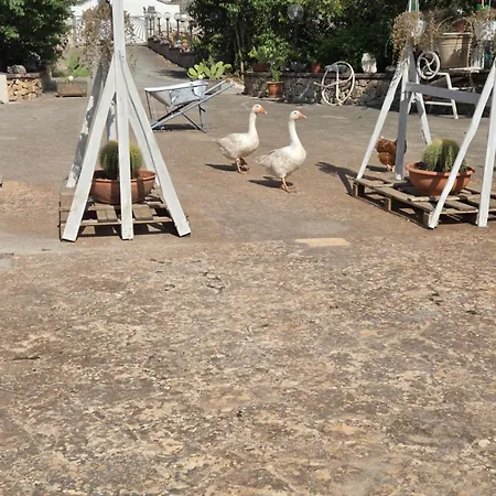 Beltrullo Pietrevive Séjour chez l'habitant