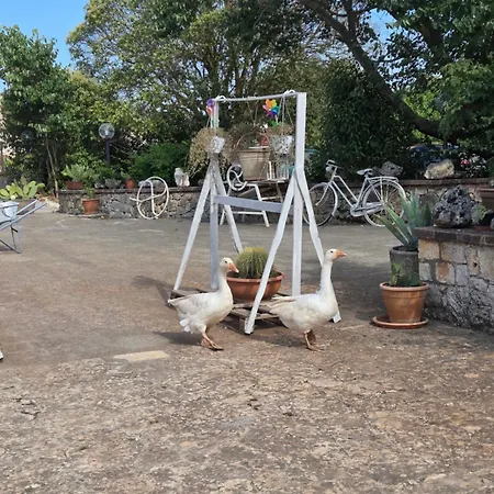 Beltrullo Pietrevive Séjour chez l'habitant Martina Franca