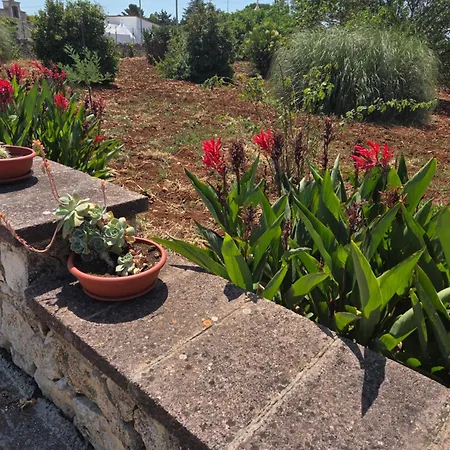 Beltrullo Pietrevive مارتينا فرانكا
