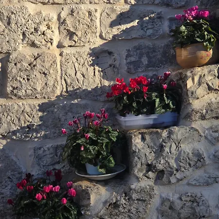 منزل للإقامة Beltrullo Pietrevive *