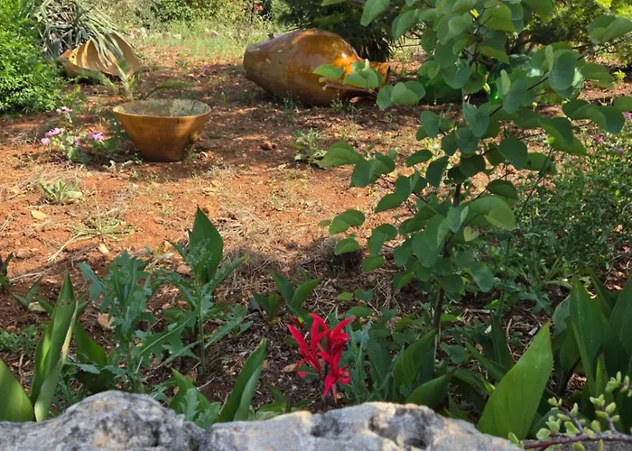 Beltrullo Pietrevive Séjour chez l'habitant Martina Franca