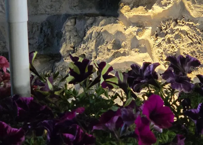 Beltrullo Pietrevive Martina Franca